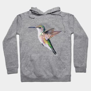 Female Ruby Throated Hummingbird drawing (no background) Hoodie